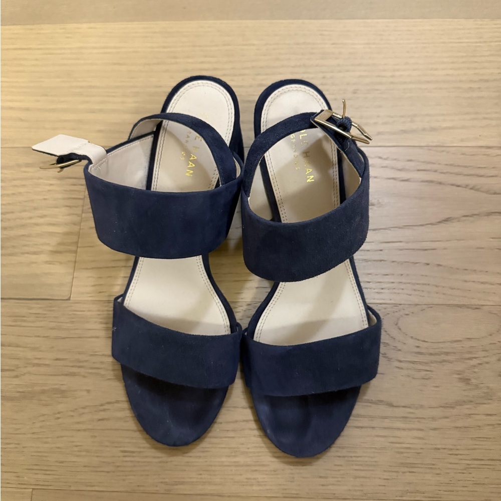 Cole Haan Dark Blue Sandals